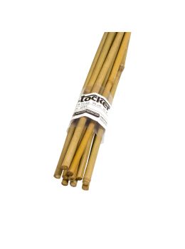 Canne di Bambù Sottili Stocker