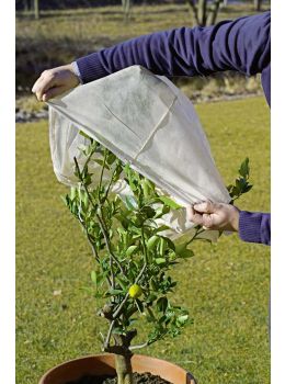 Cappuccio Protettivo per Piante | Verdemax 1,5x1,8 metri