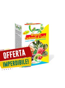 Carbonato di sodio idrogeno - Alfe 500 gr