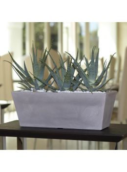 Cassetta Mysia Nicoli