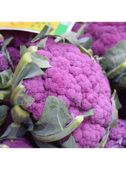 Cavolfiore Viola | ‎ Bestprato by Hortus
