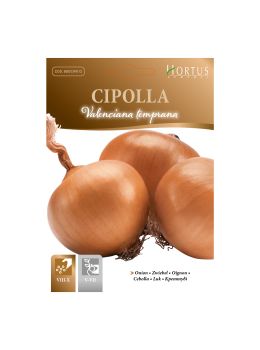 Cipolla Valenciana Temprana | ‎ Bestprato by Hortus