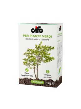 Concime Piante Verdi | Cifo 