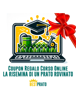 Coupon Regalo Corso Risemina Prato - Bestprato Academy