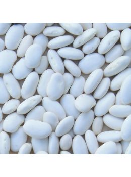 Fagiolo Blue Lake Rampicante | ‎ Bestprato by Hortus