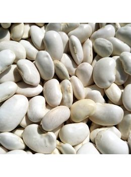 Fagiolo Slenderette Nano  250 gr | ‎ Bestprato by Hortus