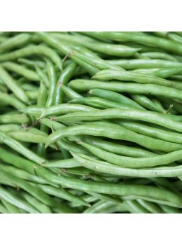 Fagiolo Nano Slenderette Biologico | ‎ Bestprato by Hortus