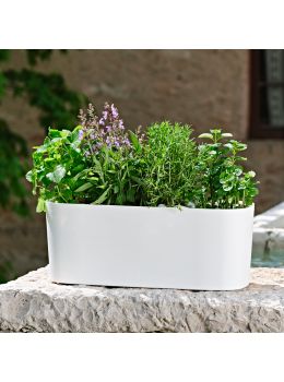 Fioriera in plastica colorata Paros Teraplast