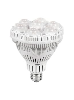 Lampada per coltivazione indoor PAR30 36W SANSI