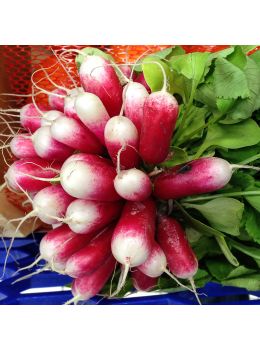 Ravanello Flamboyant 3 | ‎ Bestprato by Hortus