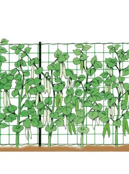 Rete per Rampicanti Orto - Stocker