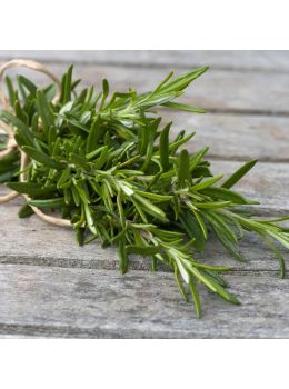 Rosmarino | ‎ Bestprato by Hortus