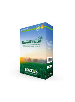 Sementi Royal Blue Plus Bottos - per prato soleggiato