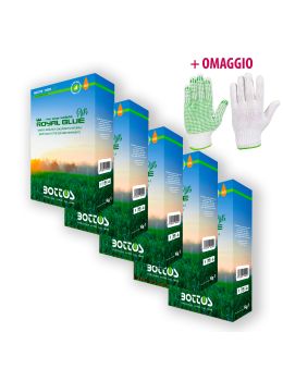 Royal Blue Plus - Bottos - 5Kg + OMAGGIO