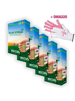 Royal Strong Plus | Bottos - 5Kg + OMAGGIO