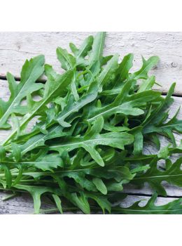 Rucola Selvatica | ‎ Bestprato by Hortus