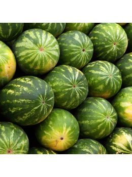 Anguria Crismon Sweet | ‎ Bestprato by Hortus