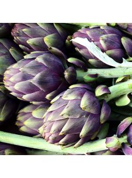 Carciofo Violet de Provence | ‎ Bestprato by Hortus