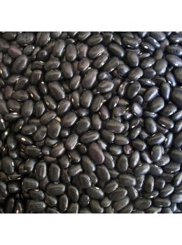 Fagiolo Super Marconi Rampicante 250 gr | ‎ Bestprato by Hortus