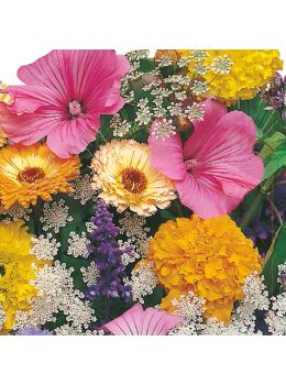 Miscuglio di Fiori Annuali | ‎ Bestprato by Hortus