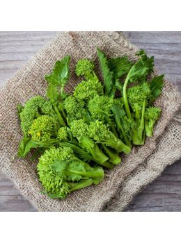 Cima di Rapa Sessantina | ‎ Bestprato by Hortus