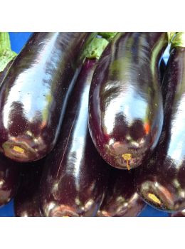 Melanzana Violetta Lunga 2 | ‎ Bestprato by Hortus