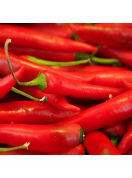 Peperone di Cayenna | ‎ Bestprato by Hortus
