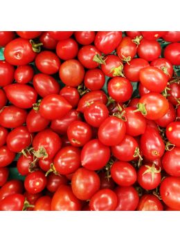 Pomodoro Principe Borghese | ‎ Bestprato by Hortus