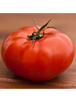 Pomodoro Marmande | ‎ Bestprato by Hortus