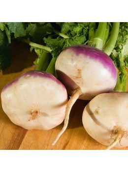 Rapa di Milano a Colletto Viola | ‎ Bestprato by Hortus