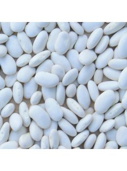 Fagiolo Bronco Nano | ‎ Bestprato by Hortus