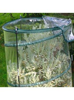 Serra Pop-Up Citrus Verdemax