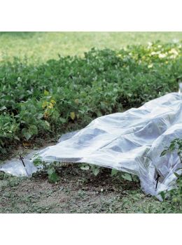 Telo Trasparente per Orto 2x10m | Verdemax