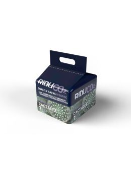 Terriccio per piante grasse