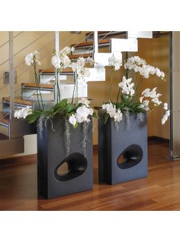 Lullaby Mod'O Oltrevaso