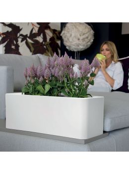 Cassetta design in resina Calypso Matt