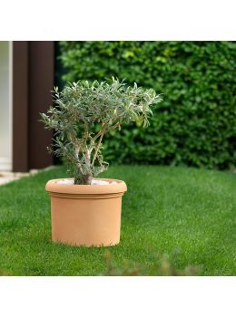 Vaso Vicenza | Teraplast