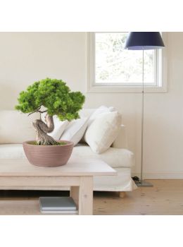 Ciotola in resina Thetis Elegance