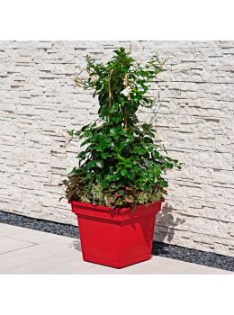 Vaso con sottovaso integrato Stil Teraplast