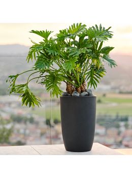 Vaso da esterno alto e stretto Meti Teraplast