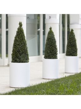 Vaso da esterno ed interno Echo