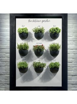 Vaso da parete in resina Clio