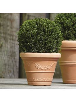 Vaso Doppiobordo festonato Nicoli