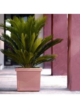 Vaso quadro Millerighe Nicoli