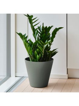 Vaso tondo in plastica Hoop Teraplast