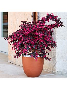 Vaso tondo in plastica riciclata Over Teraplast