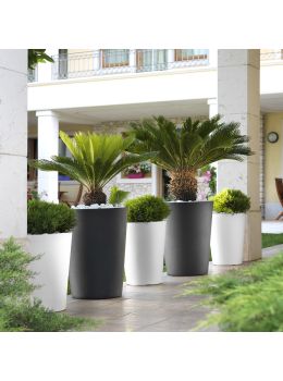 Vaso Zamora Teraplast