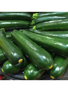 Zucchino Genovese Biologico | ‎ Bestprato by Hortus