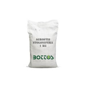 Agrostide Stolonifera - 1 Kg