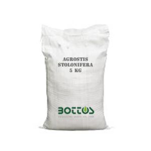 Agrostide Stolonifera - 5 Kg
